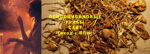 МДПВ Кукмор